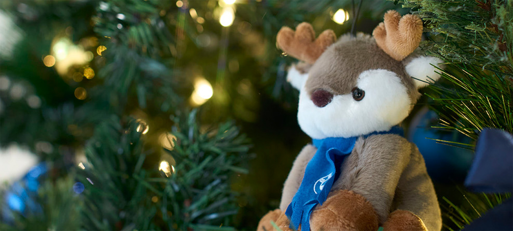 年内最後のスペシャル･フェア